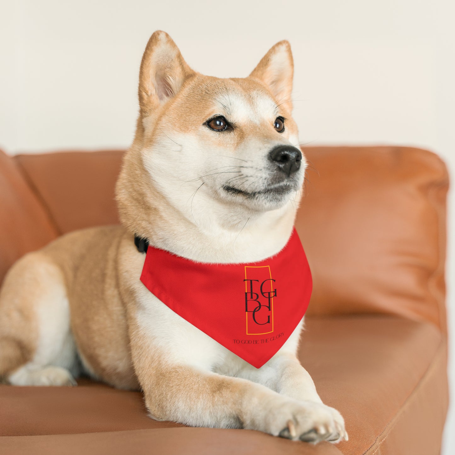 TGBTG Red Pet Bandana Collar Black Letters