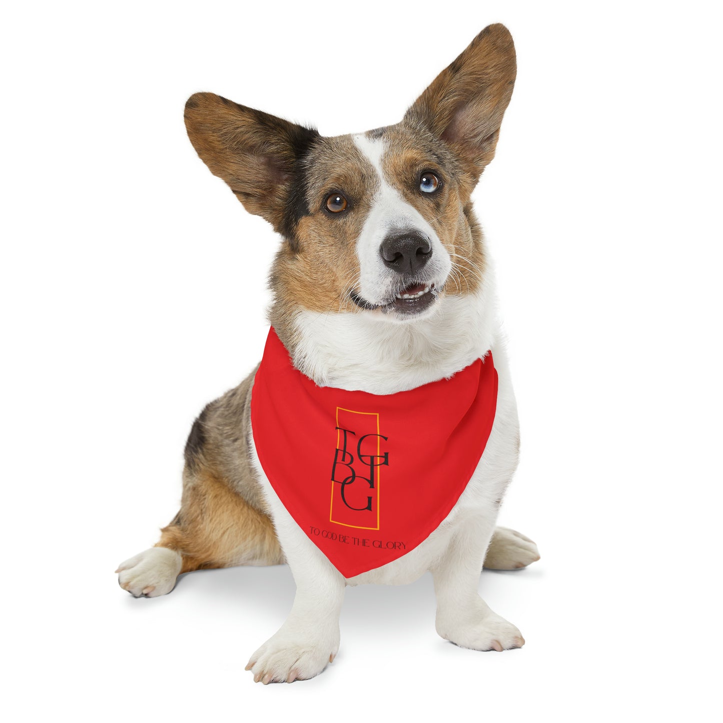 TGBTG Red Pet Bandana Collar Black Letters