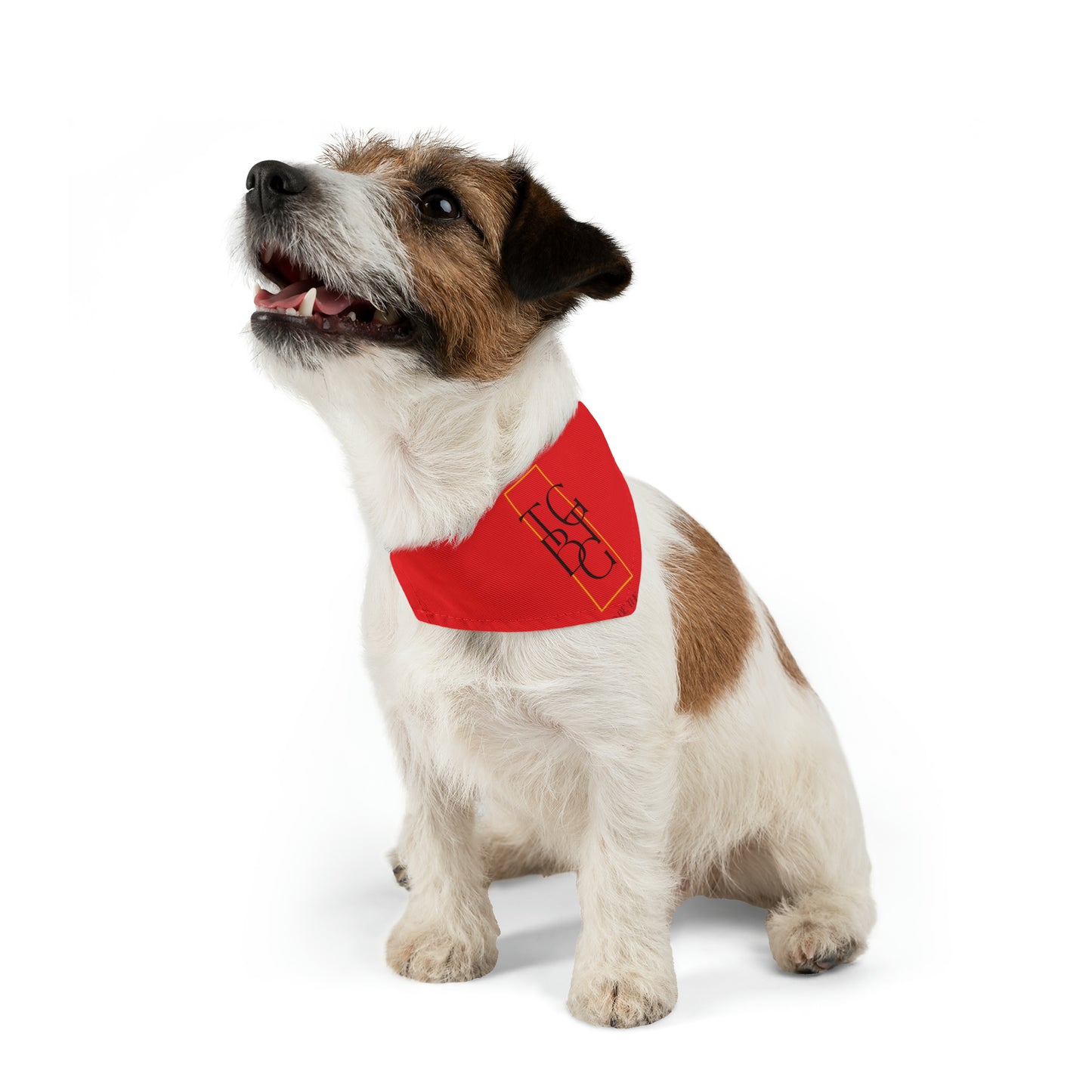 TGBTG Red Pet Bandana Collar Black Letters