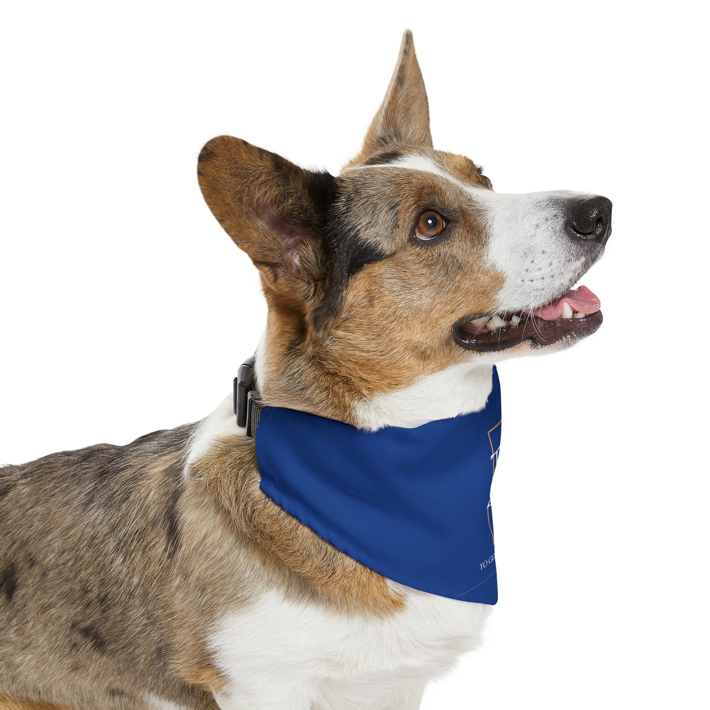 TGBTG Blue Pet Bandana Collar White Letters
