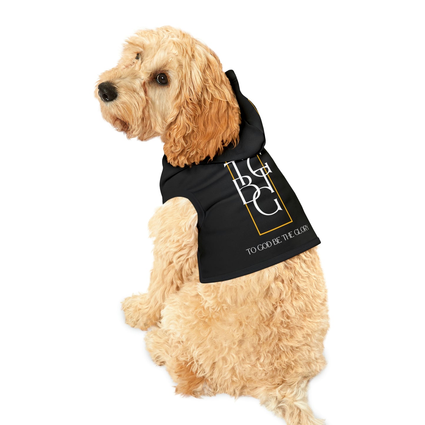 Dog Hoodie