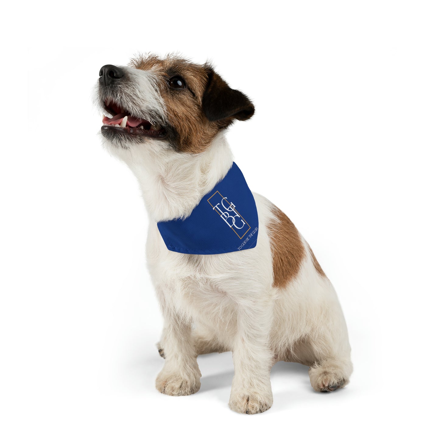 TGBTG Blue Pet Bandana Collar White  Letters