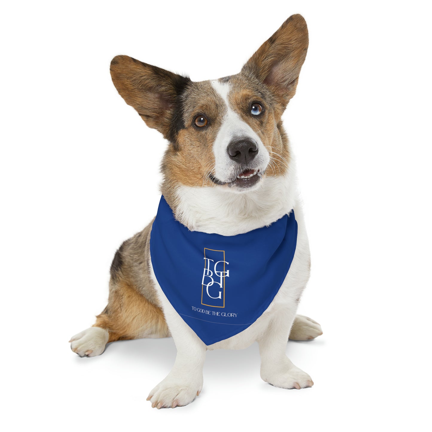 TGBTG Blue Pet Bandana Collar White  Letters