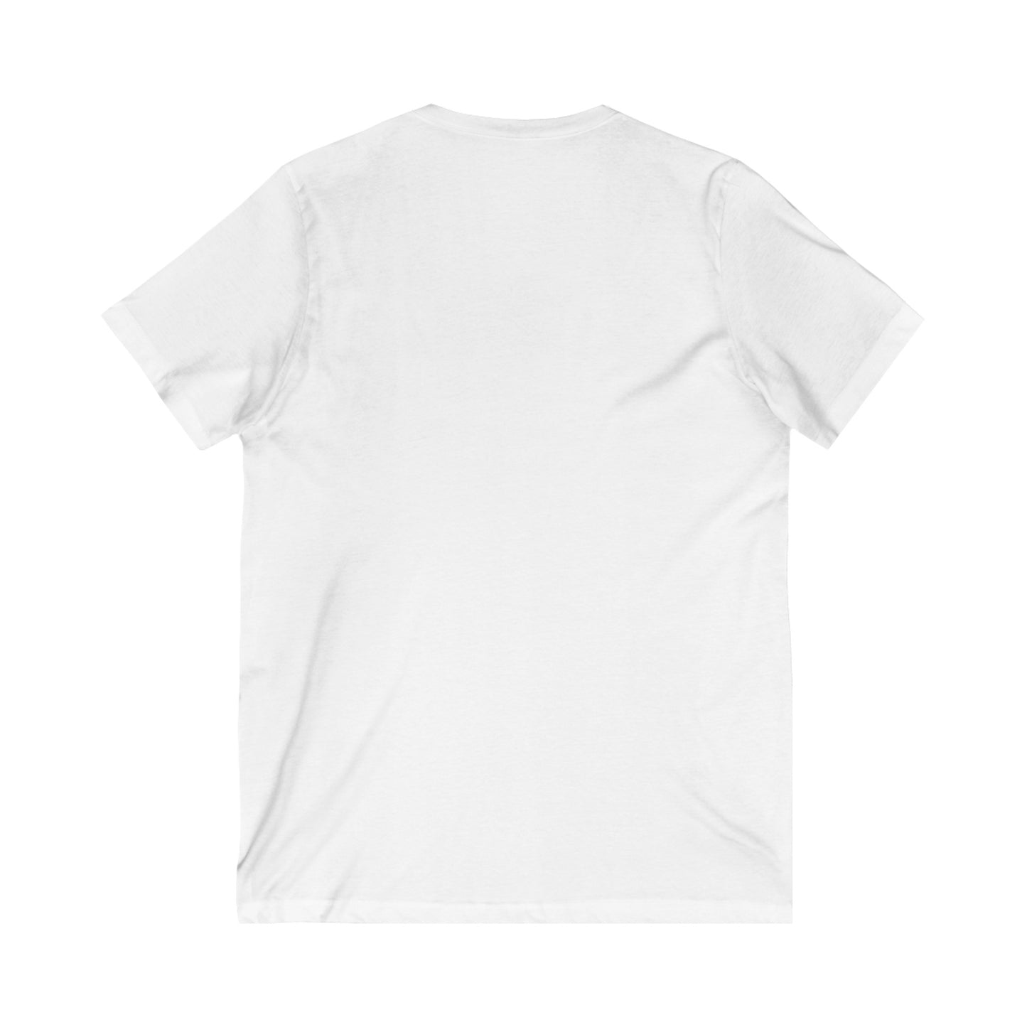 Carter-Allen Unisex Jersey Short Sleeve V-Neck Tee