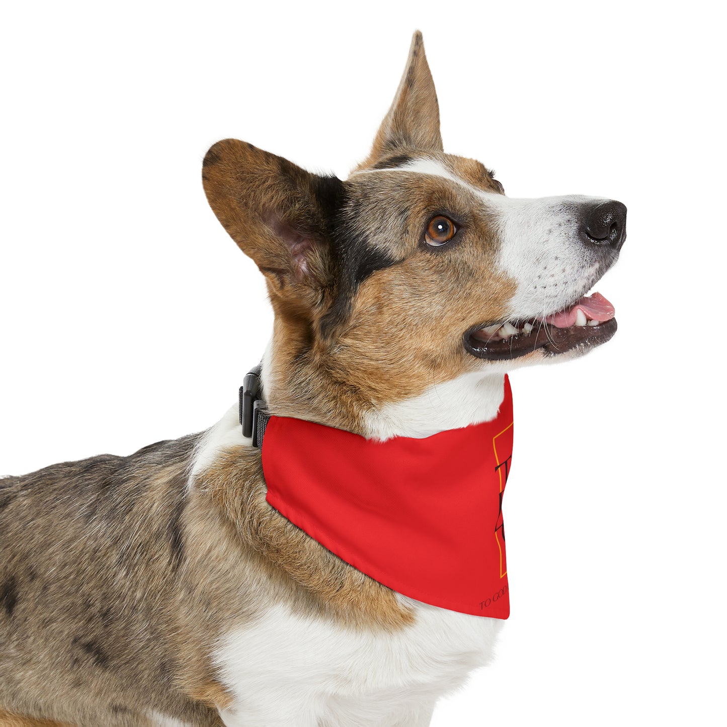 TGBTG Red Pet Bandana Collar Black Letters
